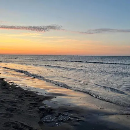 5 Star In Albaek-by Traum Ålbæk