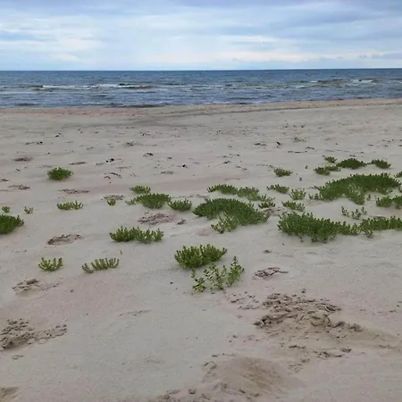 別荘 5 Star In Albaek-by Traum