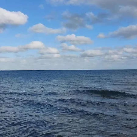 5 Star In Albaek-by Traum