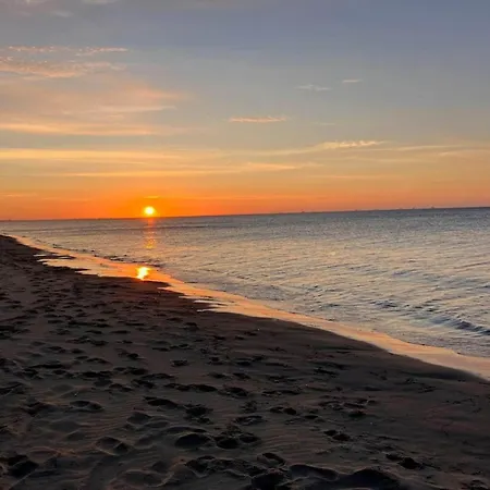 別荘 5 Star In Albaek-by Traum Ålbæk