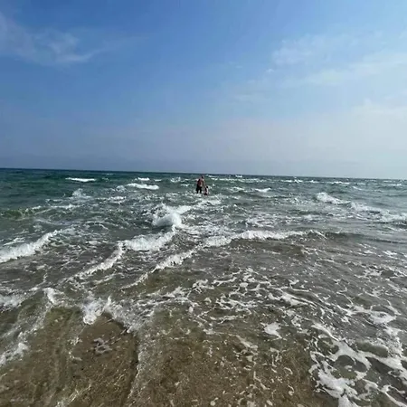 5 Star In Albaek-by Traum *