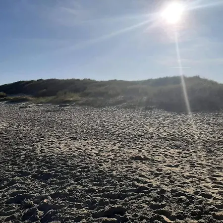 5 Star In Albaek-by Traum