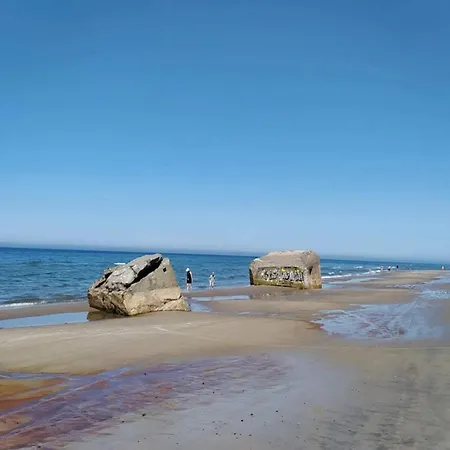 5 Star In Albaek-by Traum 別荘 Ålbæk