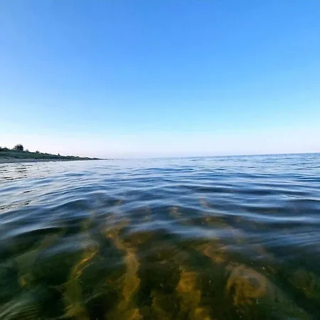 別荘 5 Star In Albaek-by Traum Ålbæk